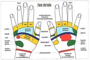 La réflexologie des mains